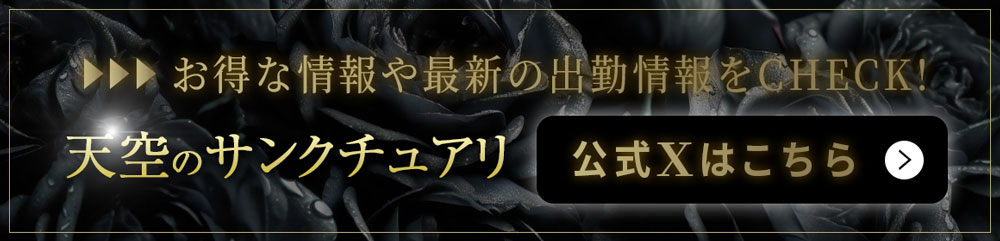 天空のサンクチュアリのバナー